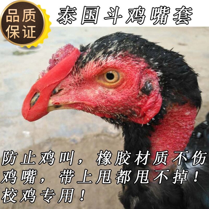 Cockfighting Supplies Cockfighting Mouth Cover Cockfighting Foot Cover Cockfighting Training Equipment Thai Cockfighting Rubber Mouth Cover For Cockfighting Cockfighting Supplies Cockfighting Mouth Cover Cockfighting Foot Cover Cockfighting Training Equipment Thai Cockfighting Rubber Mouth Cover For Cockfighting