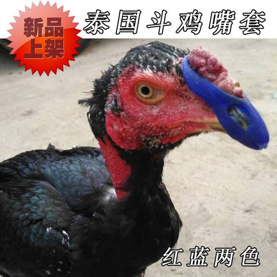 Fighting supplies, fighting cock muzzles, fighting chicken foot covers, fighting cock training equipment, Thai fighting cock rubber muzzles, fighting cocks