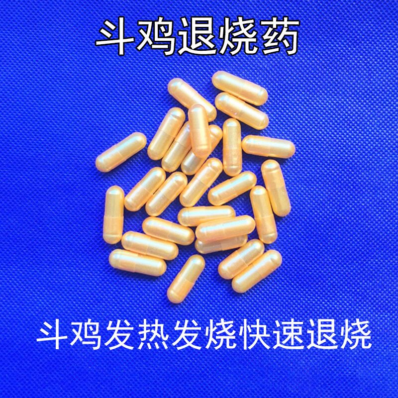 Gà chọi gà chọi gà chọi gà chiến đấu với bệnh gà chọi gà cung cấp gà chọi cung cấp gà chọi sốt gà hạ sốt - Chim & Chăm sóc chim Supplies 	cám cho chim vành khuyên	