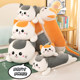 Cat ນອນ doll doll plush toy