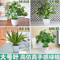Simulation green planting green lola potted plant green grass decorations indoor living-room bedroom simulation grass green false flower pendulum