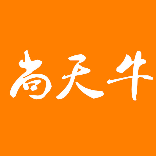 尚天牛电子商务