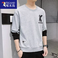 21115#Моти пепел