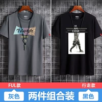 30 групп -Железный серо