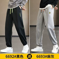 6692 черный +6693 моти пепел