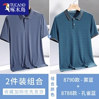 8790 Fog Blue + 8788 Peacock Blue