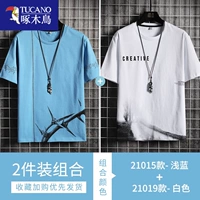 21015 светло -голубой +21019 белый