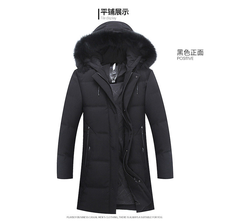 Blouson homme PLAYBOY     en Polyester - Ref 3121421 Image 16