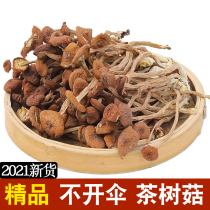 39 6 yuan 500g new premium non-open umbrella tea tree mushroom farmers produce fresh wild sulfur-free tea pay mushroom dry goods