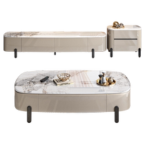 DDC light luxury rectangular tea table living room home small apartment modern simple slate coffee table TV cabinet combination