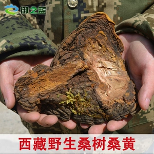 御之蓝 Официальный флагманский магазин Tibetan Wild Mulberry Wild Mulberry Ganoderma Ganoderma lucidum 250 г: купи 3, получи 1 в подарок
