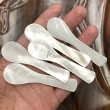 Shell Spoon Mask Spoon Dessert Spoon Sub