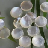 6 мм круглое кольцо натуральная раковина раковина раковина белая бабочка