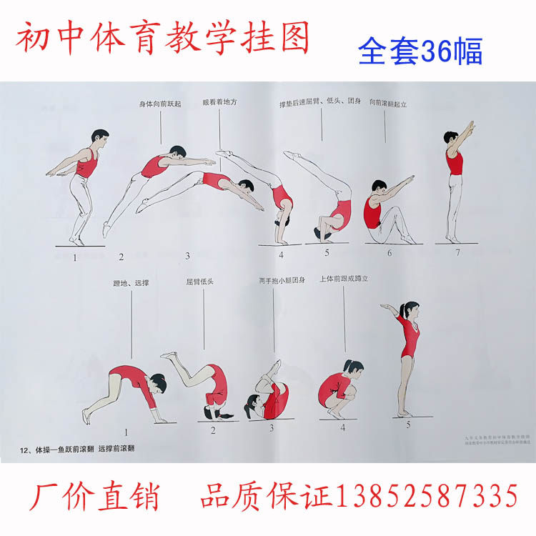 A full set 36 36 teaching aids for teaching materials of the junior high school sports teaching