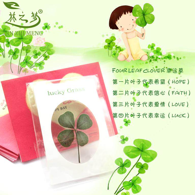 Wild four-leaf clover clover specimen bookmark card birthday Tanabata Valentine's Day gift confession for boyfriend and girlfriend