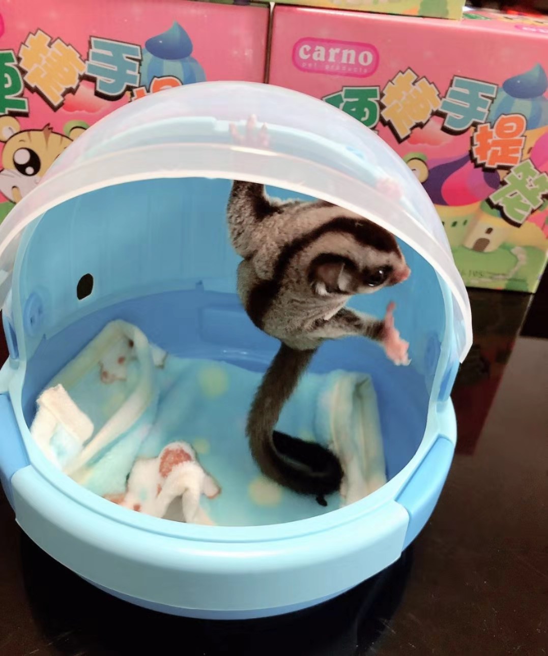 Honey bag glider takeaway cage hamster flying squirrel summer flying saucer takeaway bag portable out bag