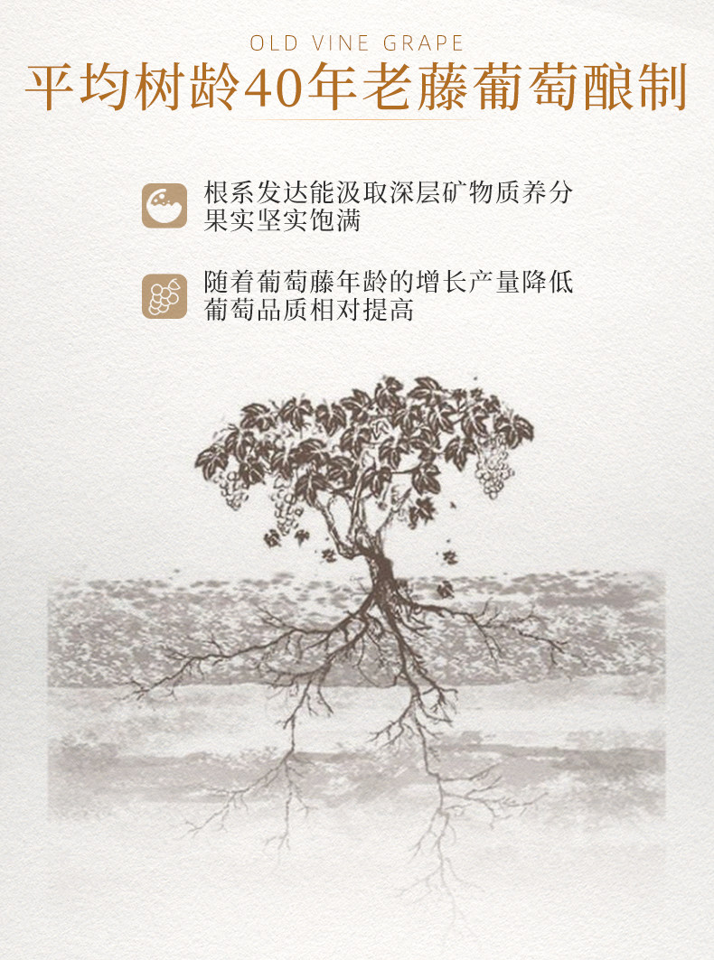 安享好物 安享D级葡萄酒-圣芝G126葡萄酒