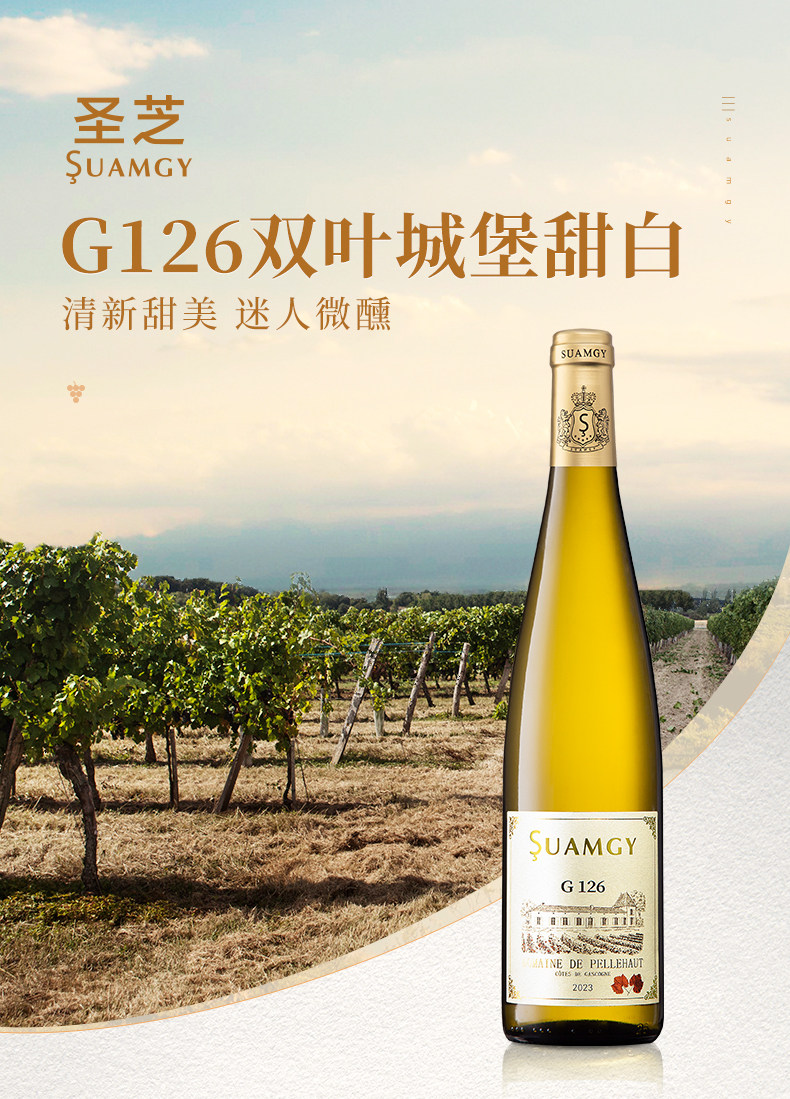 安享好物 安享D级葡萄酒-圣芝G126葡萄酒