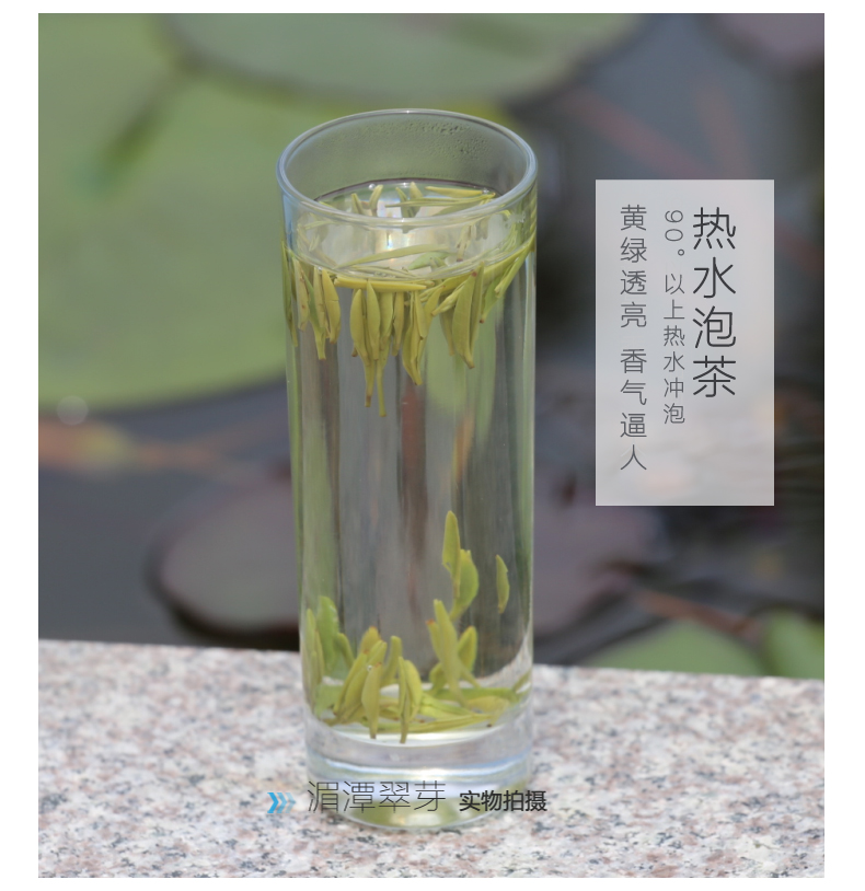 阳春白雪贵芽湄潭翠芽 雀舌茶叶 春茶 绿茶  贵州茶 西湖龙井茶类