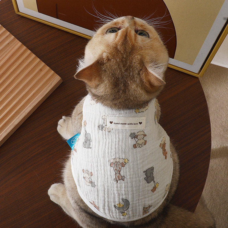猫咪衣服秋季夏天幼猫防掉毛秋天外出专用按扣马甲两脚衣幼猫小猫