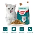 Thức ăn cho mèo tương đối Yi - Cat Staples Cat Staples