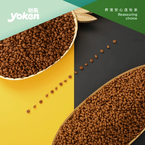 Yishou Food Food Желудочно -кишечный и желудок