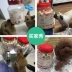 Yi hôn chó bánh quy 1kg đồ ăn nhẹ chó ngoài hơi thở hôi Teddy răng hàm canxi con chó con chó khử mùi bánh quy