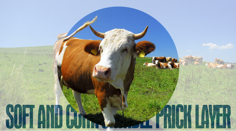 Sac homme - Ref 57185 Image 18