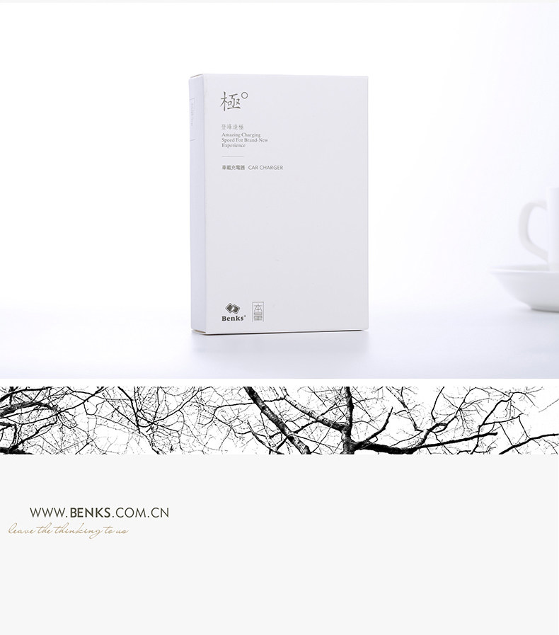 chargeur BENKS 2A - Ref 1299052 Image 22