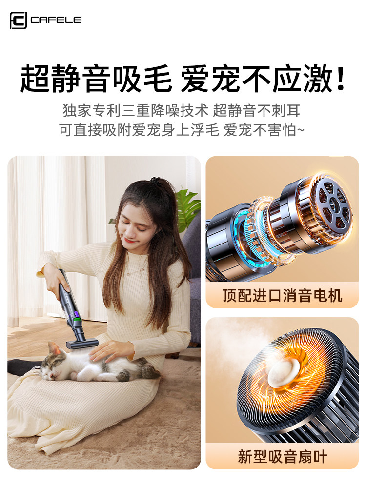 Automatic Pet Hair Remover for Cats and Dogs, Handheld Small Wireless Vacuum Cleaner for Home Use on Beds