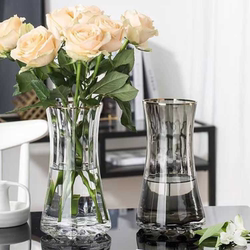 High-End Simple and Luxurious Thickened ins Style Transparent Glass Vase for Hydroponic Lucky Bamboo Flower Arrangement Living Room Decoration