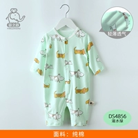 DS4856 Lake Green Green