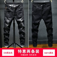 C28 Black Grey+C6815 Black