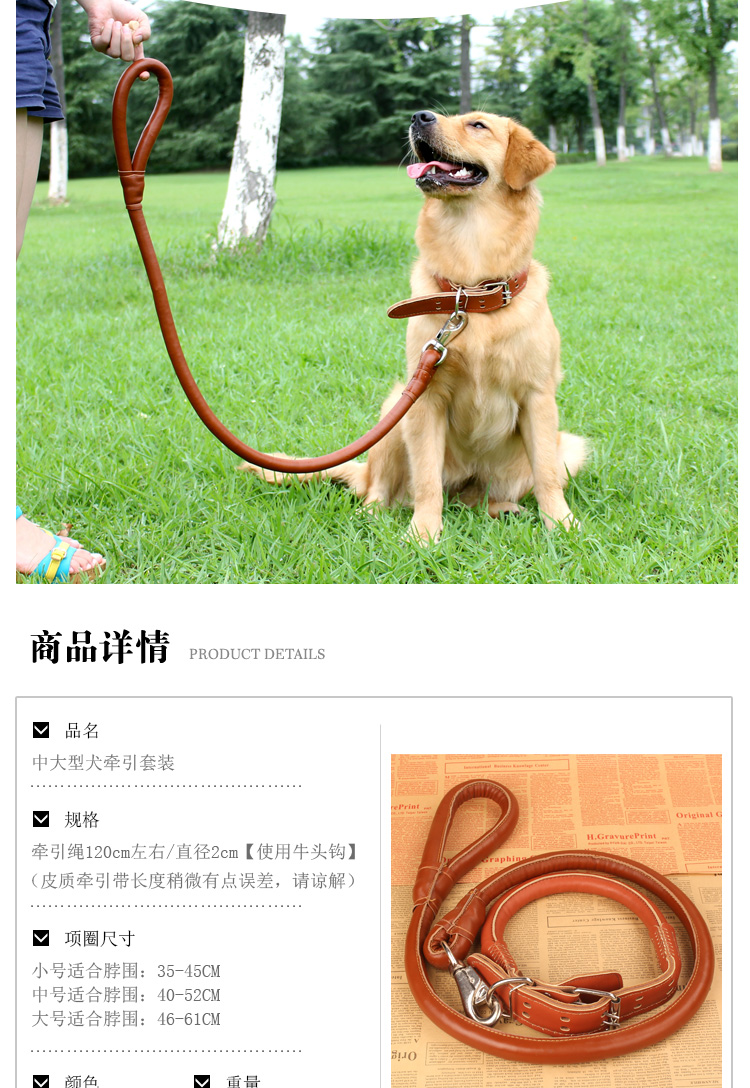 中型大型犬大狗宠物牵引绳带项圈金毛拉布拉多狗狗遛狗绳子狗链子 虎窝淘