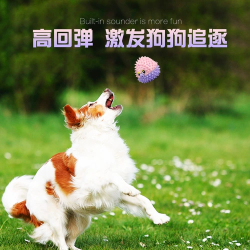 Собачья игрушка, щенок, узлы, кусание виппис, щенки Corki Bomei Husky, собачьи игрушки для домашних животных
