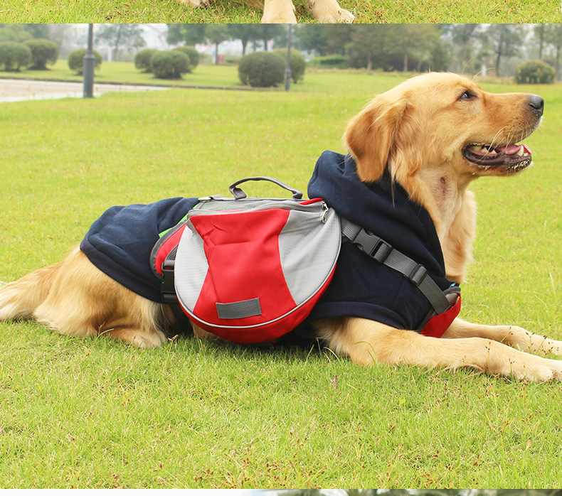 Big Dog k 9 250