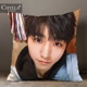 TFBoys tìm kế hoạch tùy Vương Tuấn Khải cùng một đoạn gối Photo album tấm áp phích chợp mắt đệm gối AK - Trở lại đệm / Bolsters