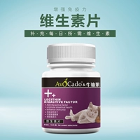 Avocado Pet Chó và Chó Vitamin đặc biệt Teddy Golden tóc Sản phẩm y tế Pet Vitamin viên nén 150 viên nén sữa cho mèo mẹ