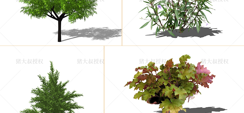 T1936草图大师模型SU园林景观植物花草树木灌木Sketchup凉亭2D...-4