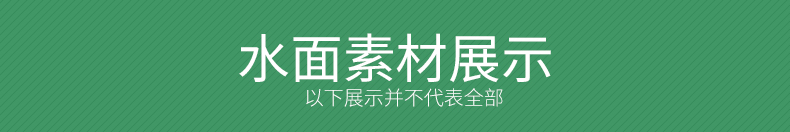 PSD008园林景观设计PSD古建树木花草植物人物鸟瞰图效果图-82