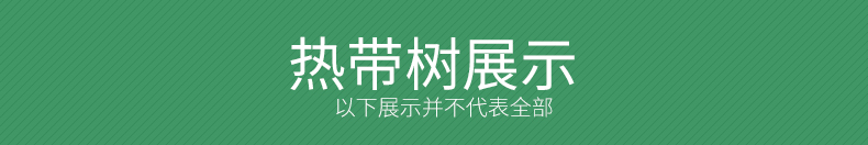 PSD008园林景观设计PSD古建树木花草植物人物鸟瞰图效果图-67