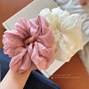 Champagne-Colored Pleated Mesh Hair Tie, Bubble Scrunchie, Ponytail Holder, High Elasticity, Durable, Elegant Hair Accessory