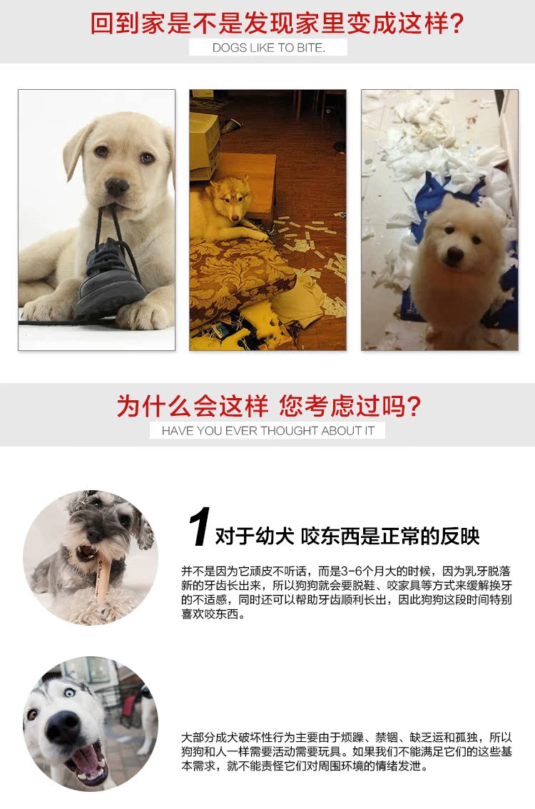 Chó thú cưng và chó đồ chơi bóng lộn lật cao su Teddy Jinmao Bomei chó lớn và vừa - Mèo / Chó Đồ chơi bóng đồ chơi cho chó