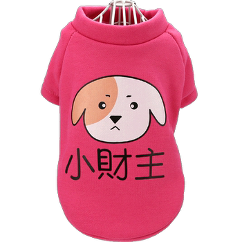 Teddy pet dog clothing dog clothes