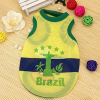 Футбольная команда дает-бразил (желтый)