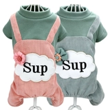 Собака новая весна и летняя осенняя одежда для собак