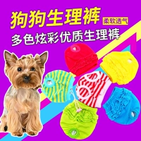 Физиологические штаны для собак, кружевные однотонные шорты для собак, физиологические штаны для домашних животных Тедди, VIP, милые предметы первой необходимости для домашних собак