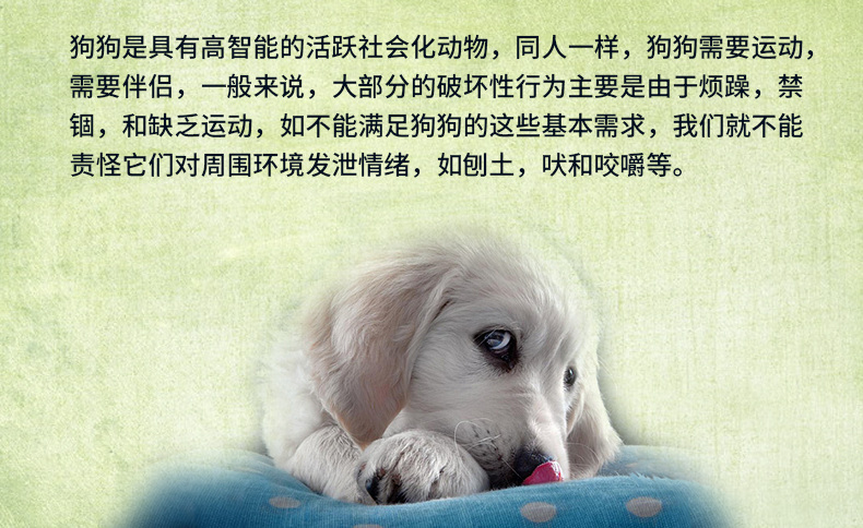 Bite kháng tổ ong lỗ đàn hồi phát sáng bóng thú cưng đồ chơi mèo và chó đồ chơi (màu ngẫu nhiên) duy nhất đồ chơi của mèo