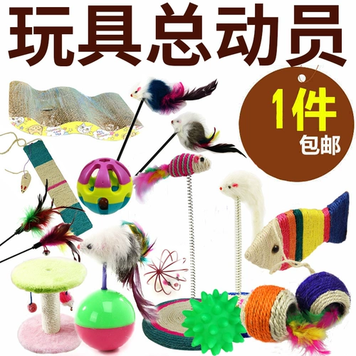 Игрушки для собак, измельчение зубов, кричащий куриный питомец поставляет кот золотой ретривер Тасар Биби Медвежь