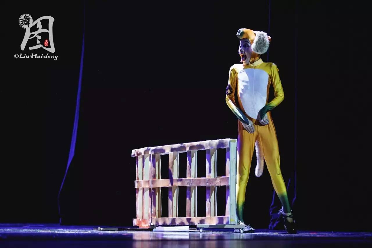 On New Year's Day, the story in the ninth Xiaohe style goose farm children's puppy swan costumes animal costumes